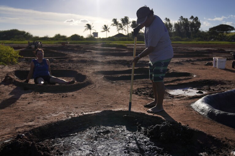 Hawaiian on sale shoe maker